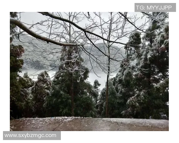 绿茵巨星风采集锦展现激情岁月与荣耀瞬间